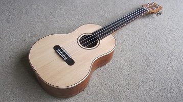 Blackwood ukulele 1