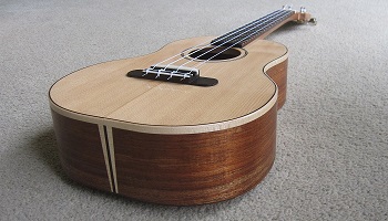 Blackwood ukulele 2